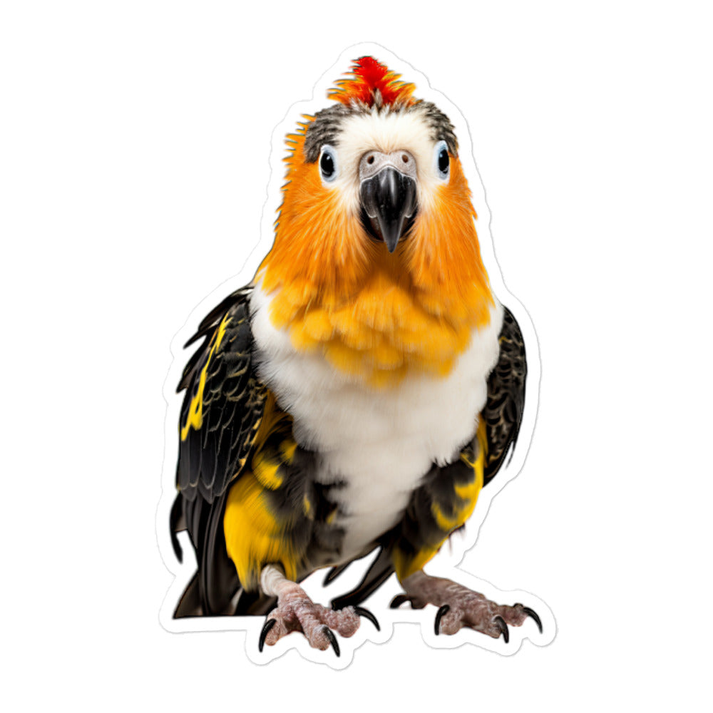 Caique Sticker - Stickerfy.ai