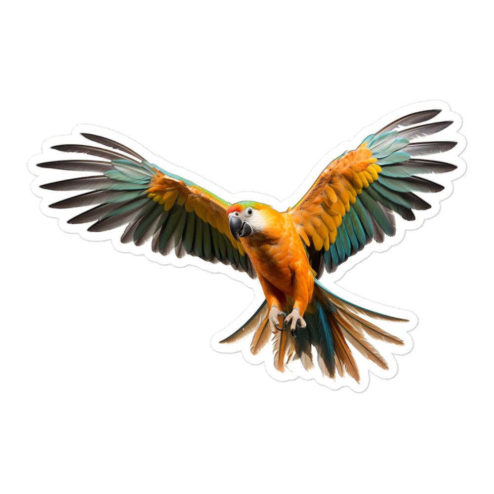 Caique Sticker - Stickerfy.ai