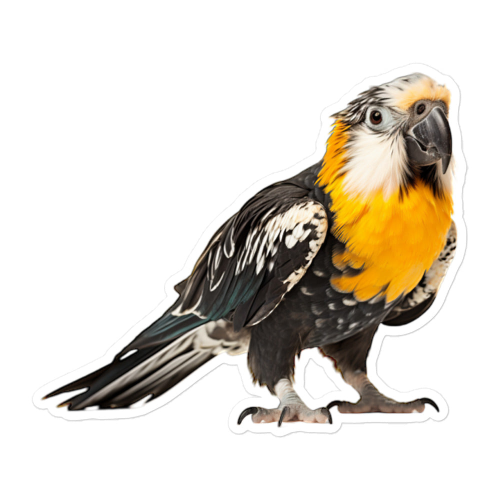 Caique Sticker - Stickerfy.ai