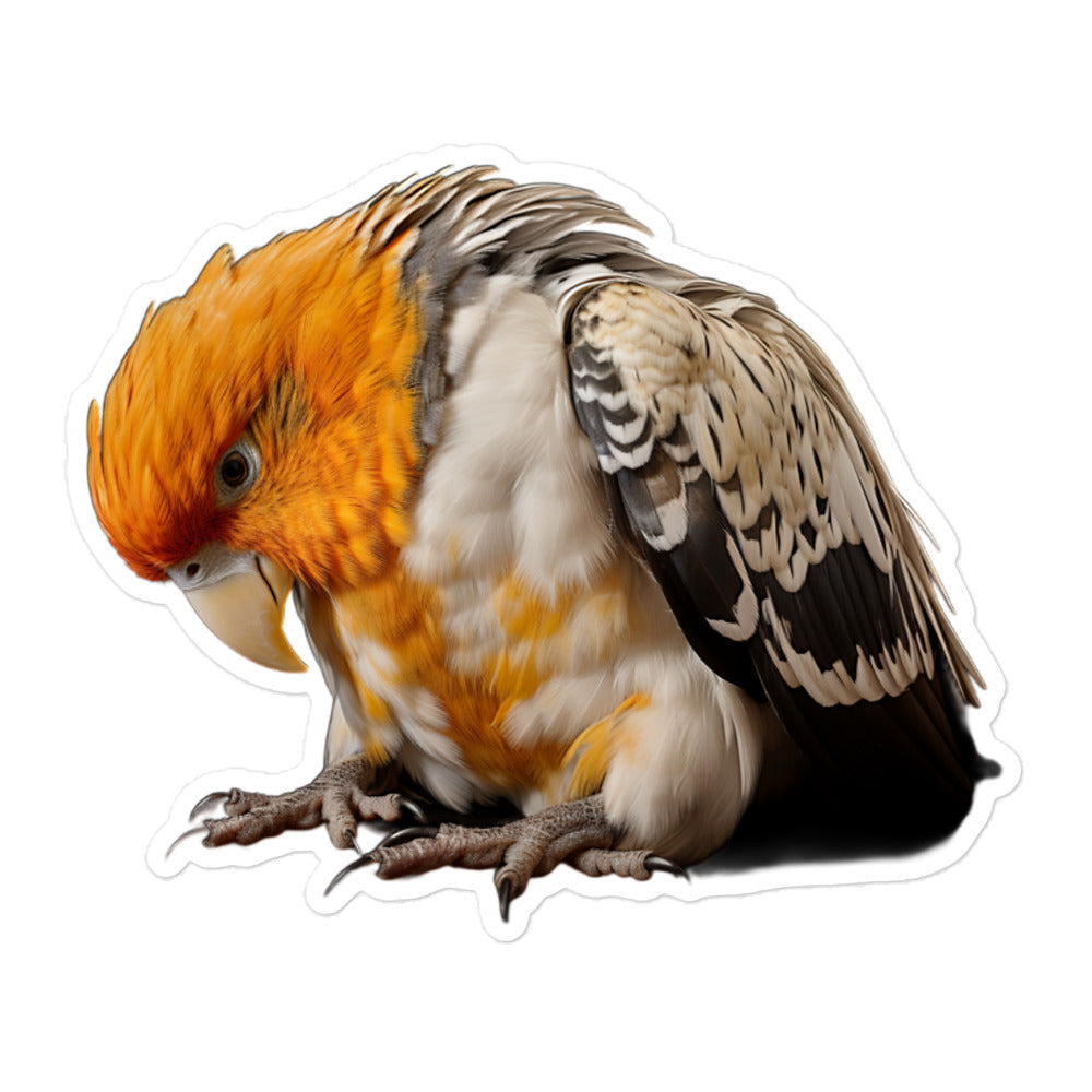 Caique Sticker - Stickerfy.ai