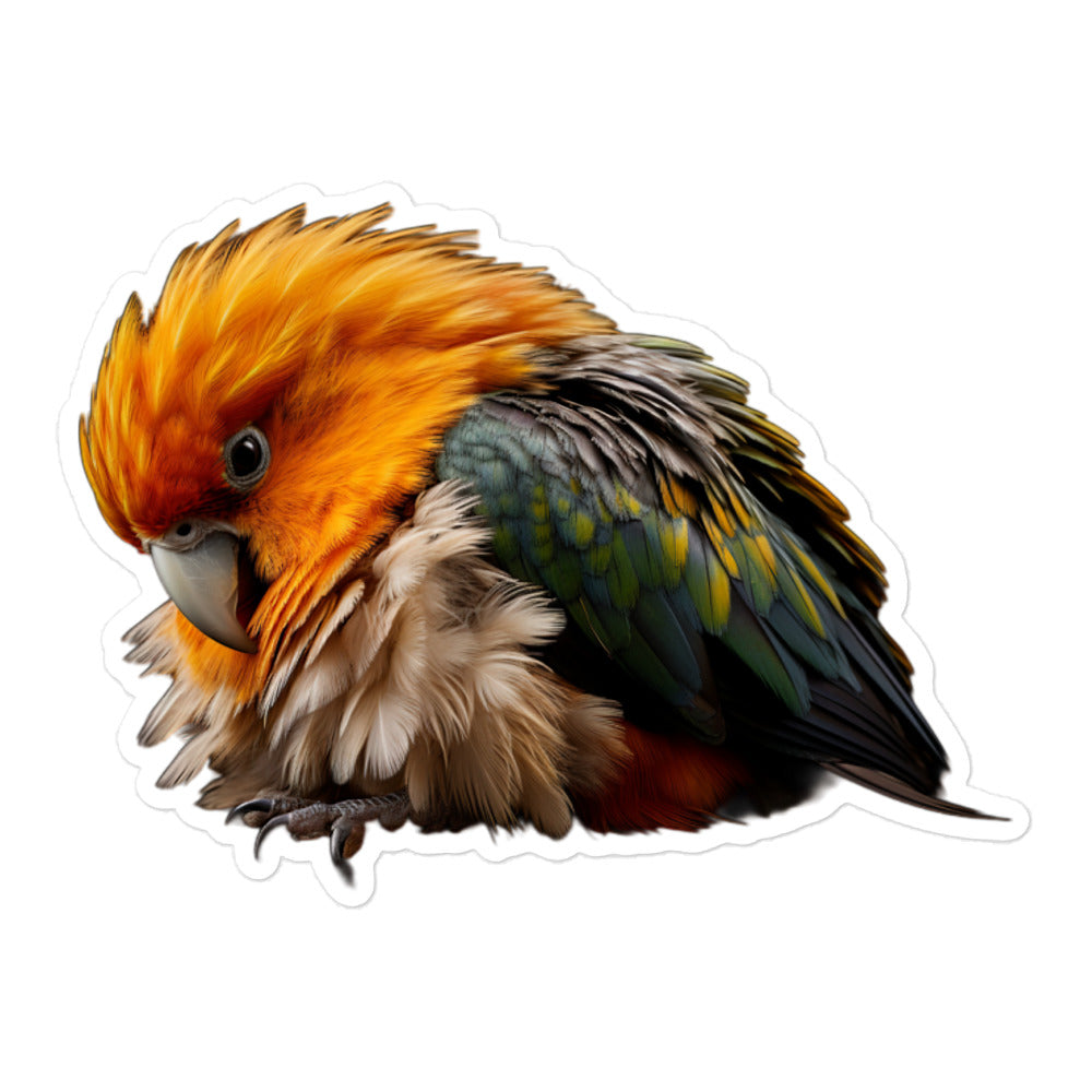 Caique Sticker - Stickerfy.ai