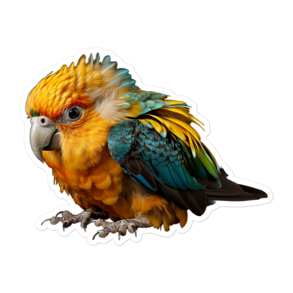 Caique Sticker - Stickerfy.ai