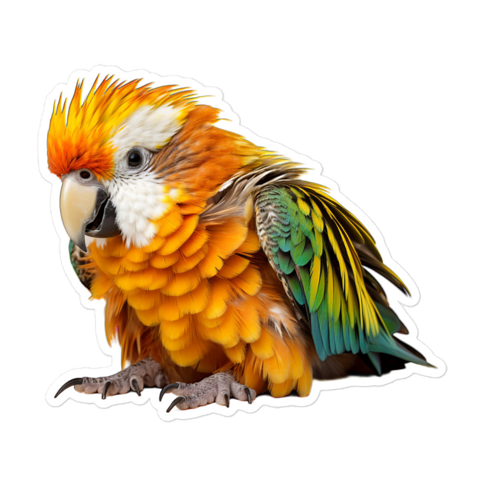 Caique Sticker - Stickerfy.ai