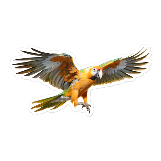 Caique Sticker - Stickerfy.ai