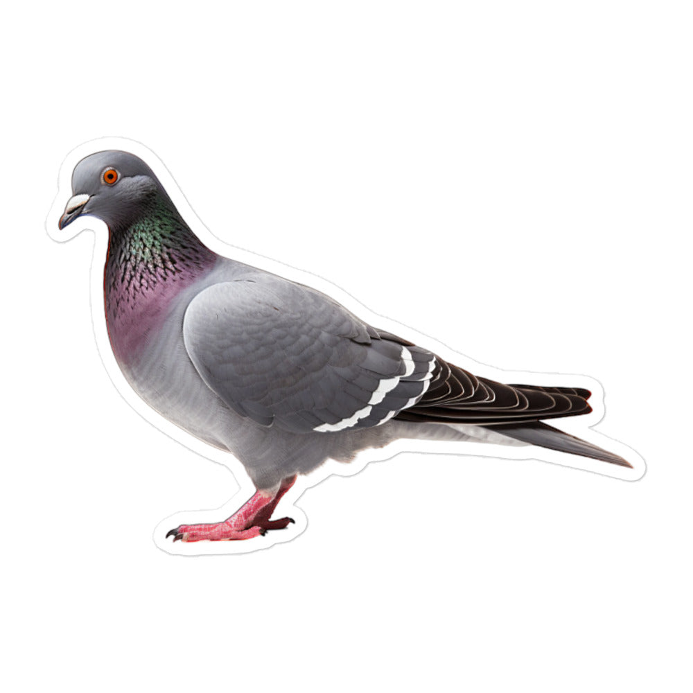 Homing Pigeon Sticker - Stickerfy.ai