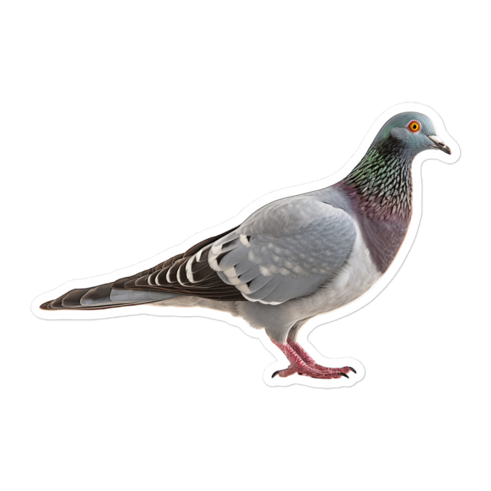 Pigeon Sticker - Stickerfy.ai