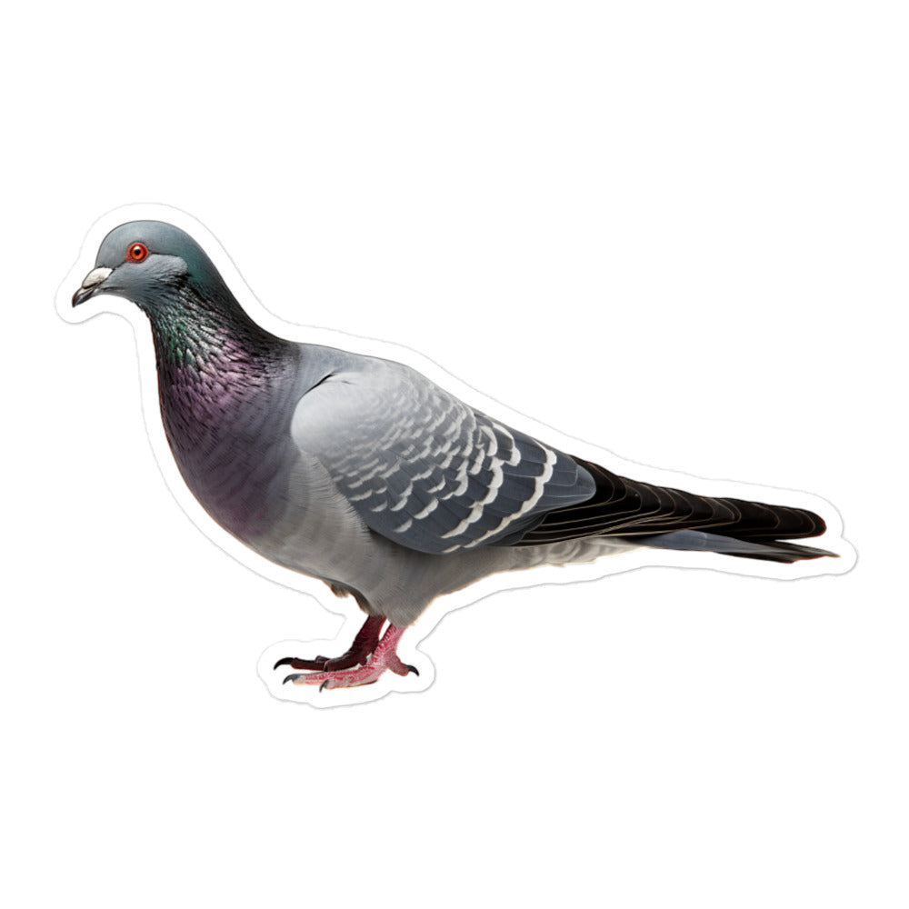 Pigeon Sticker - Stickerfy.ai