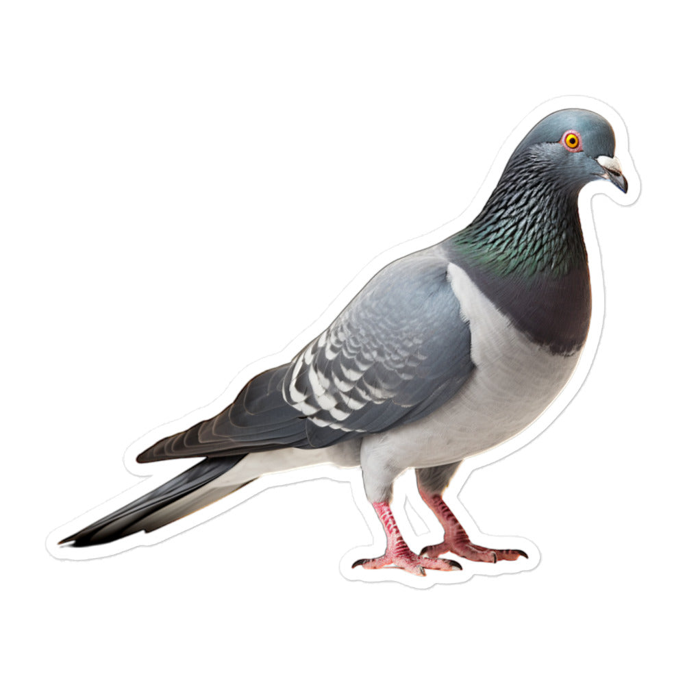 Pigeon Sticker - Stickerfy.ai