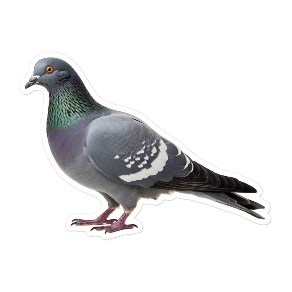 Pigeon Sticker - Stickerfy.ai