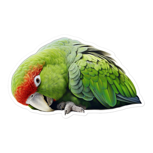 Kakariki Sticker - Stickerfy.ai