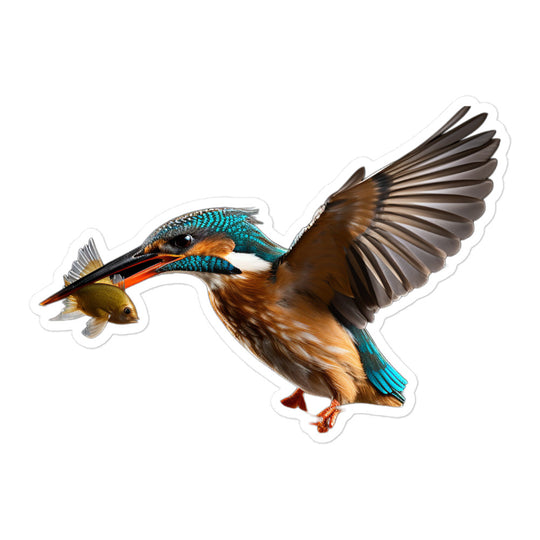 Kingfisher Sticker - Stickerfy.ai