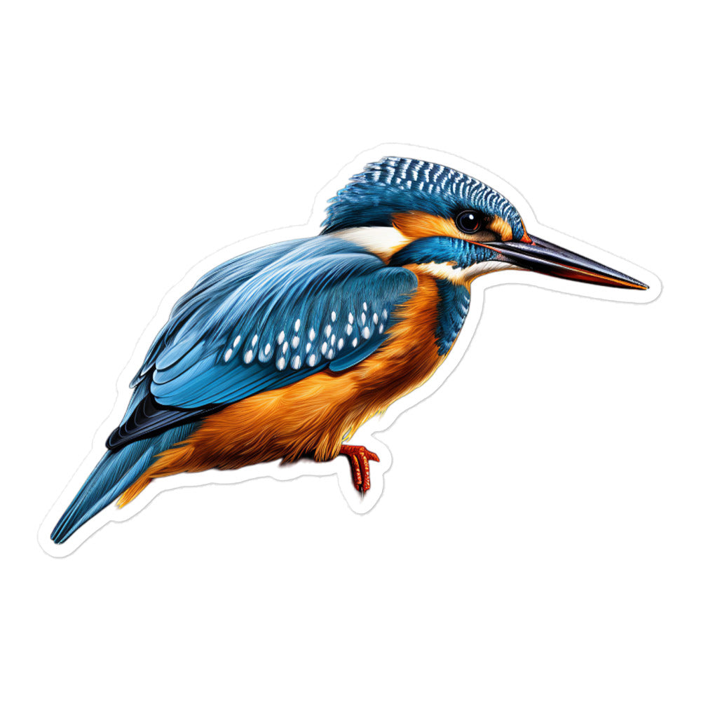 Kingfisher Sticker - Stickerfy.ai