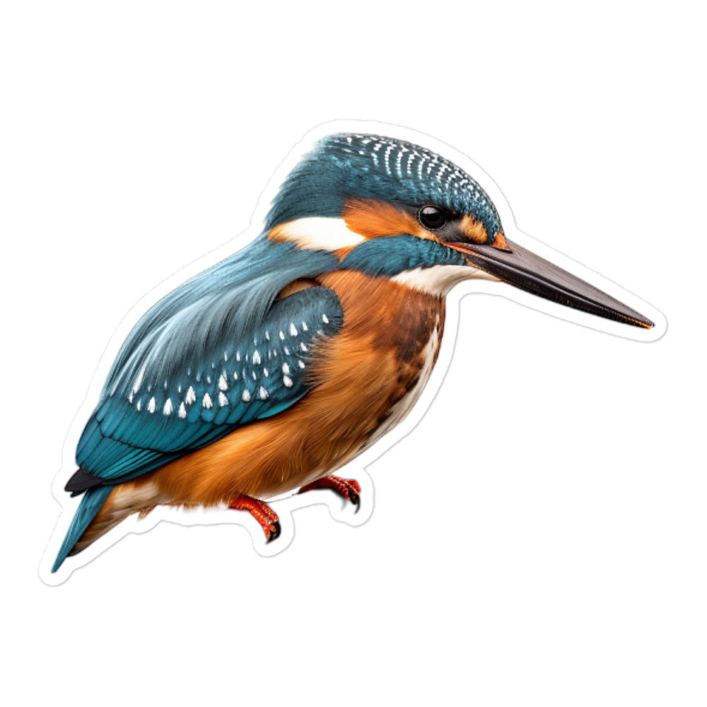 Kingfisher Sticker - Stickerfy.ai