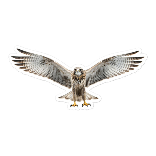 Falcon Sticker - Stickerfy.ai