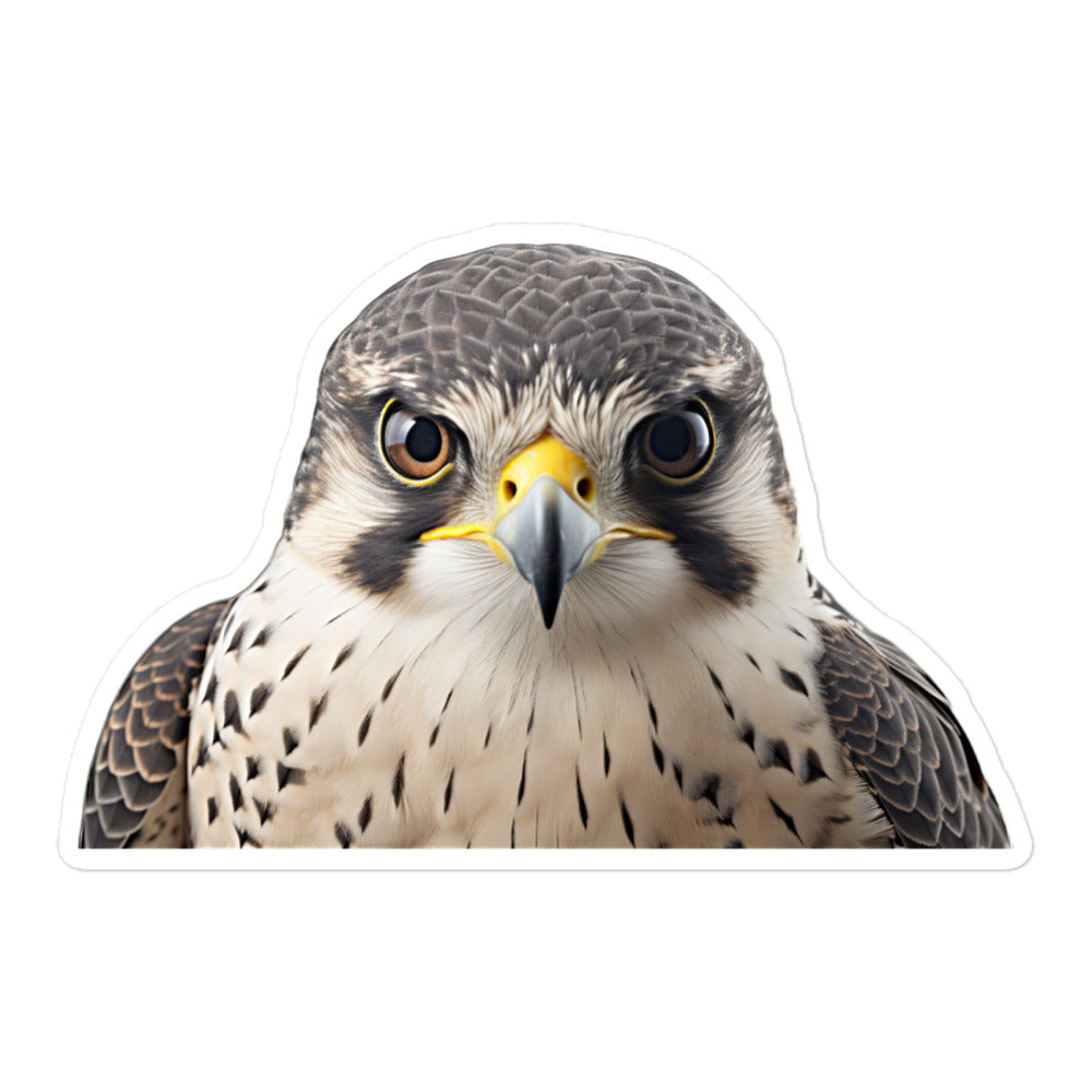 Falcon Sticker - Stickerfy.ai