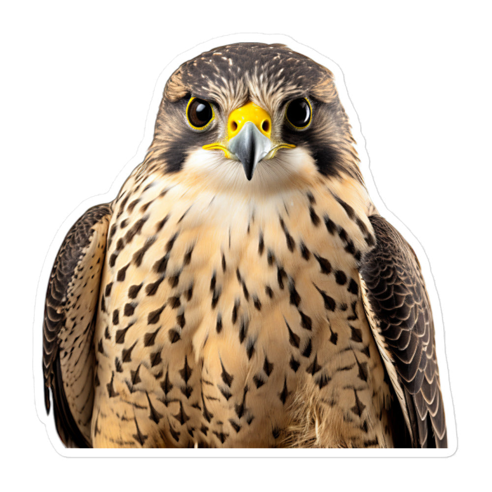 Falcon Sticker - Stickerfy.ai