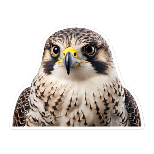 Falcon Sticker - Stickerfy.ai