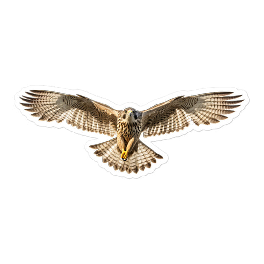 Falcon Sticker - Stickerfy.ai