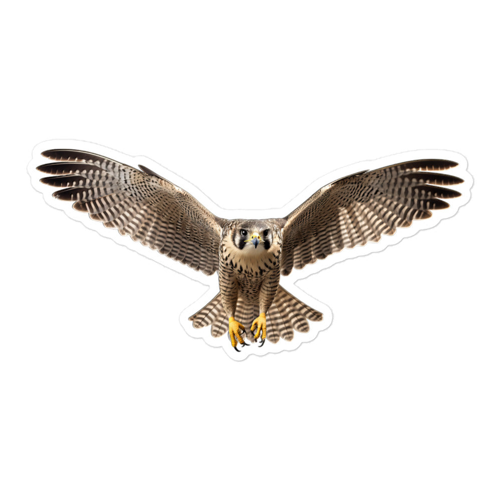 Falcon Sticker - Stickerfy.ai