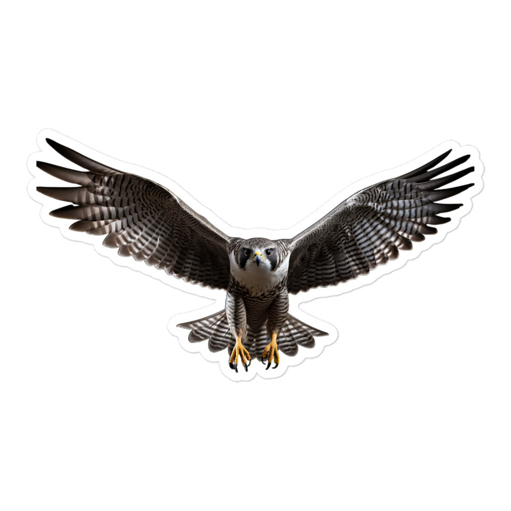 Falcon Sticker - Stickerfy.ai