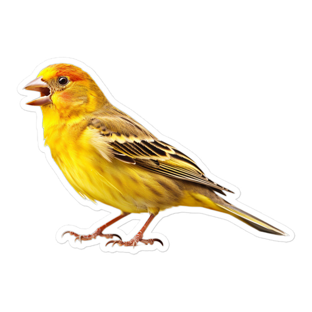 Finch Sticker - Stickerfy.ai