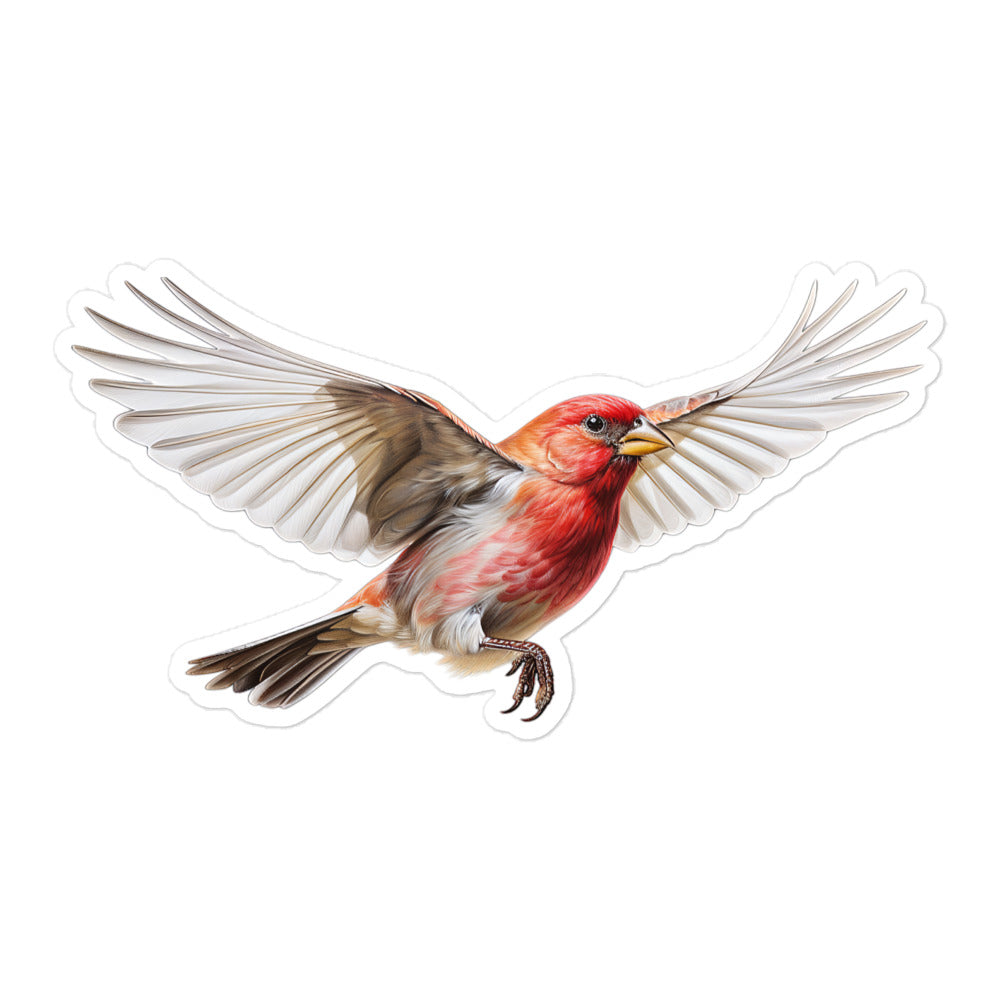 Finch Sticker - Stickerfy.ai