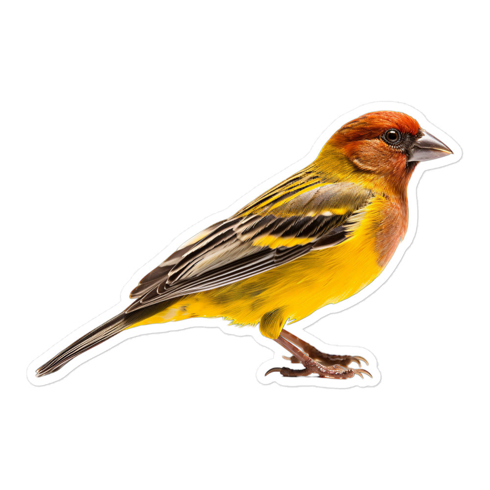 Finch Sticker - Stickerfy.ai