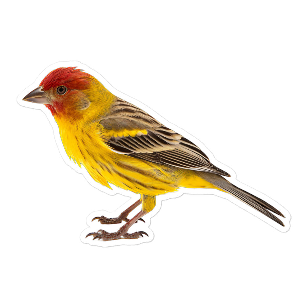 Finch Sticker - Stickerfy.ai