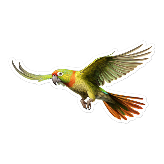 Green Cheeked Conure Sticker - Stickerfy.ai