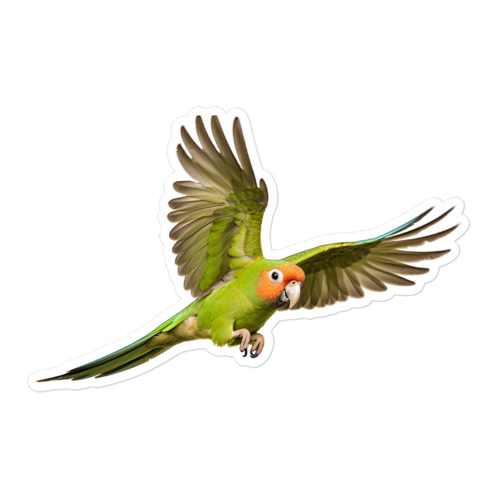 Green Cheeked Conure Sticker - Stickerfy.ai