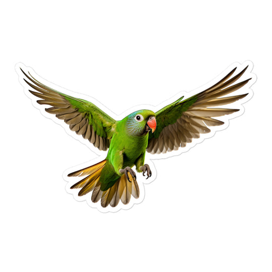 Green Cheeked Conure Sticker - Stickerfy.ai