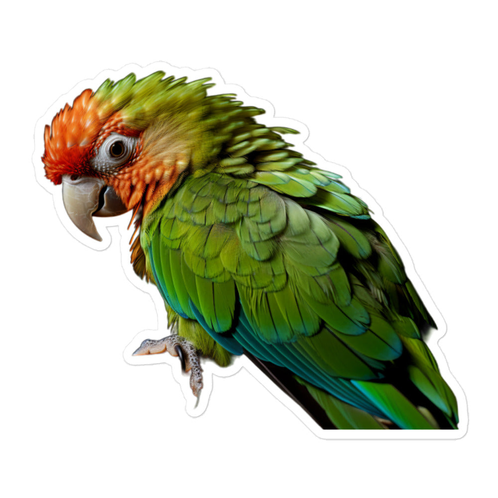 Green Cheeked Conure Sticker - Stickerfy.ai