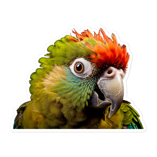 Green Cheeked Conure Sticker - Stickerfy.ai