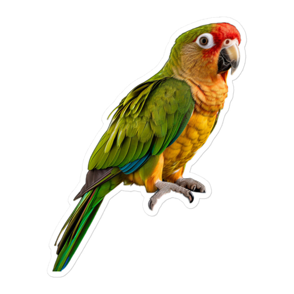 Green Cheeked Conure Sticker - Stickerfy.ai