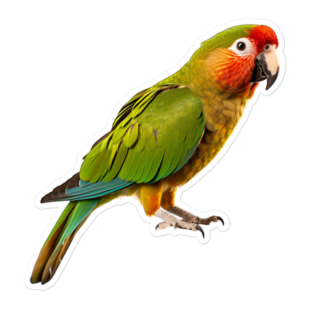 Green Cheeked Conure Sticker - Stickerfy.ai