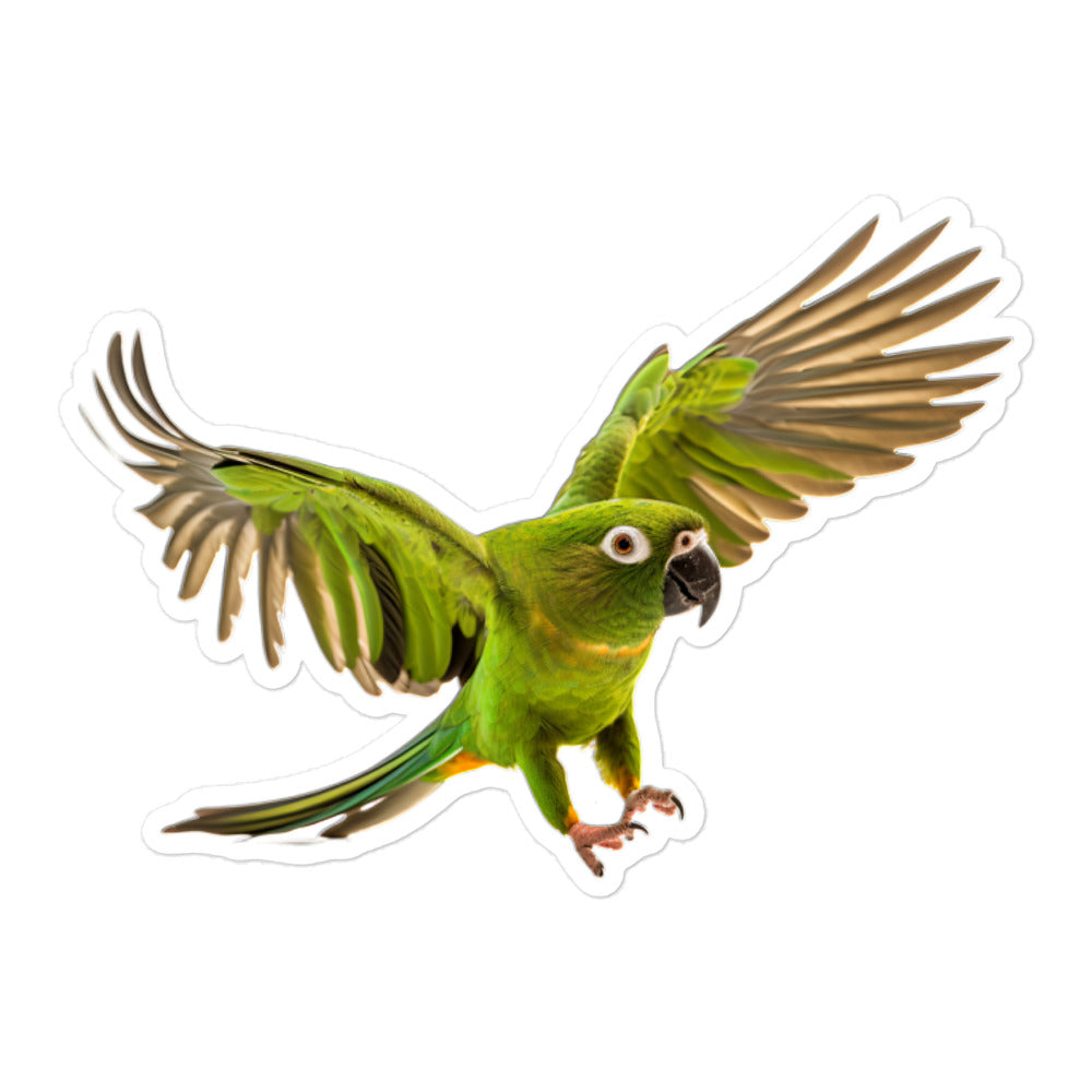 Green Cheeked Conure Sticker - Stickerfy.ai