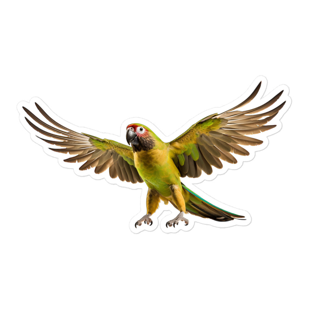 Green Cheeked Conure Sticker - Stickerfy.ai