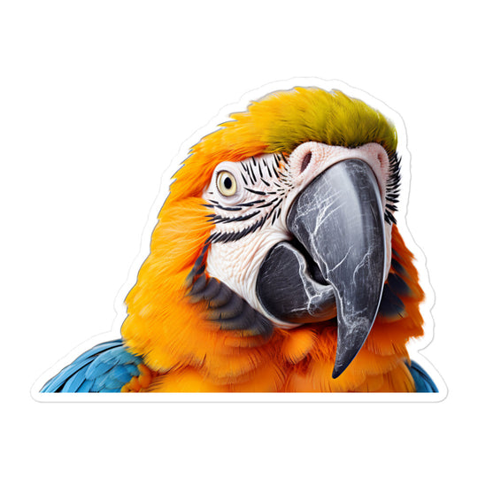 Macaw Sticker - Stickerfy.ai