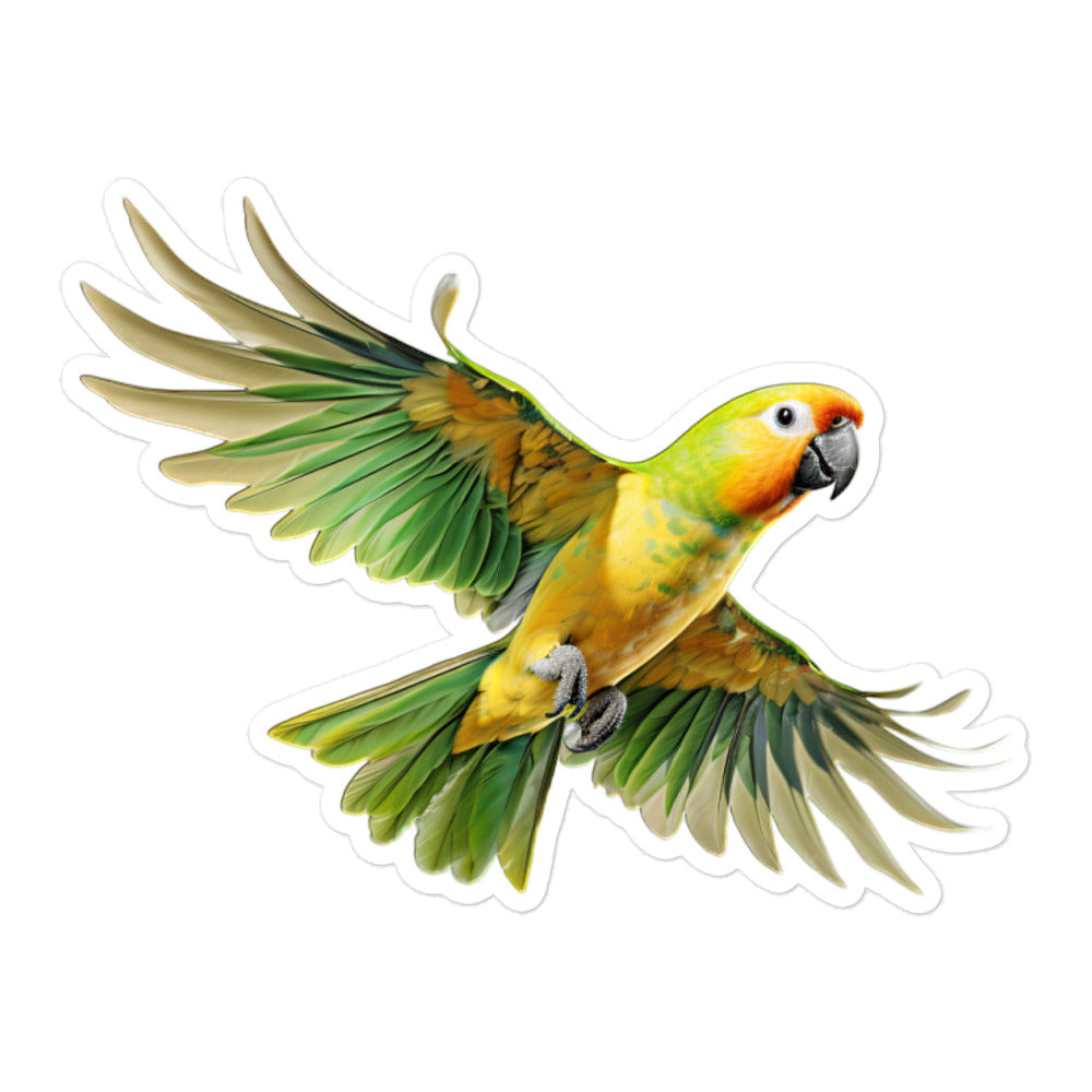 Conure Sticker - Stickerfy.ai