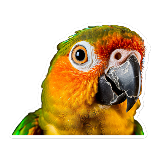 Conure Sticker - Stickerfy.ai