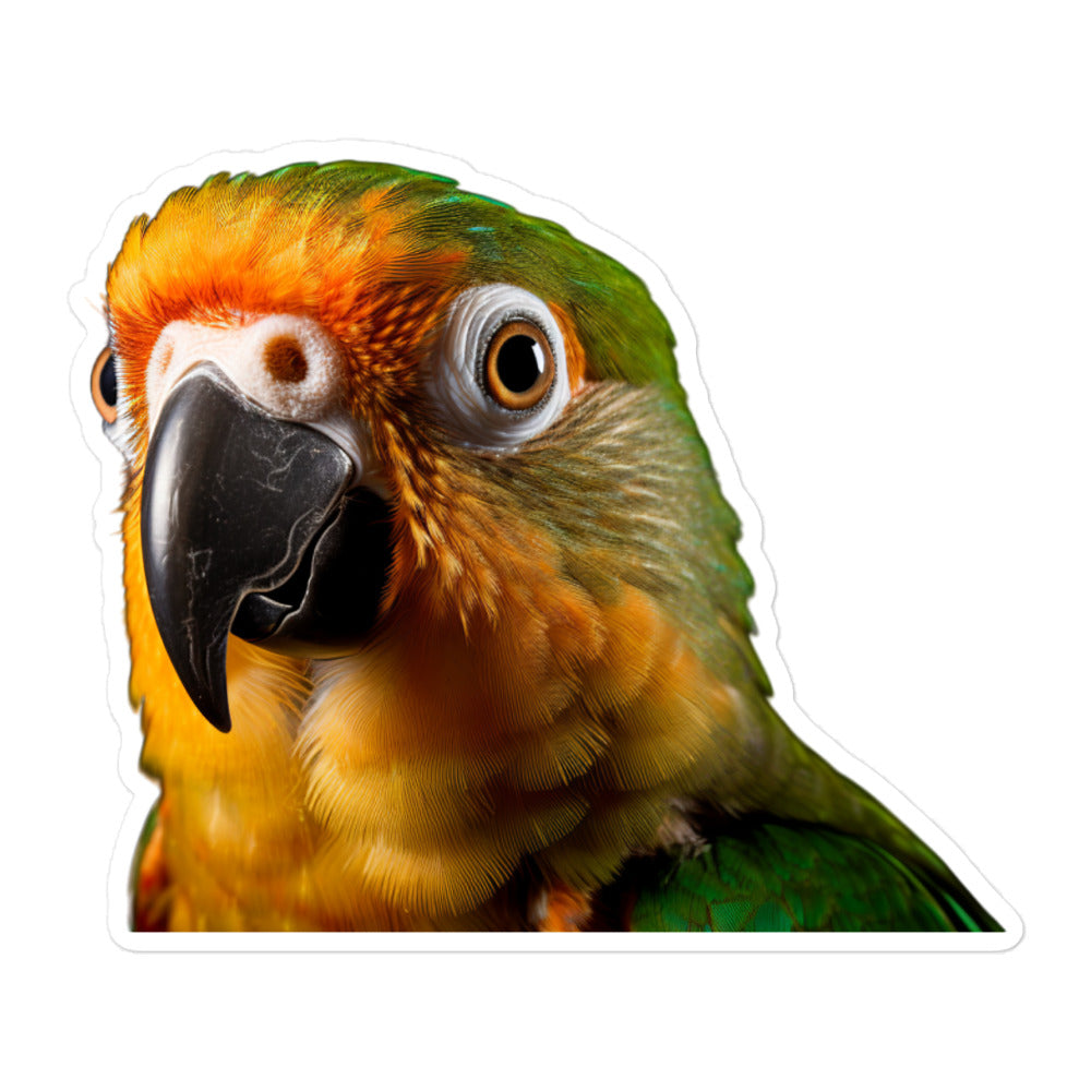 Conure Sticker - Stickerfy.ai