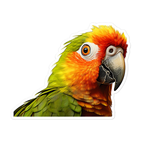 Conure Sticker - Stickerfy.ai