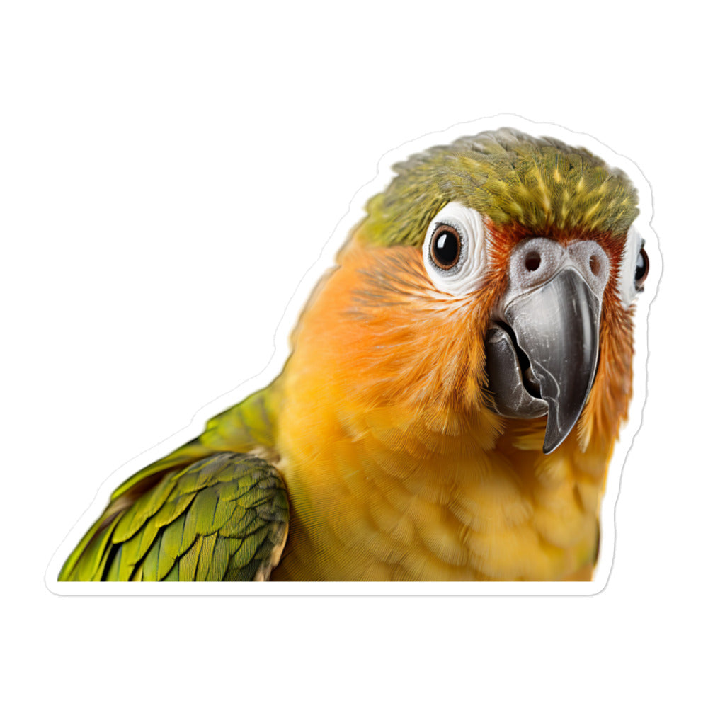 Conure Sticker - Stickerfy.ai