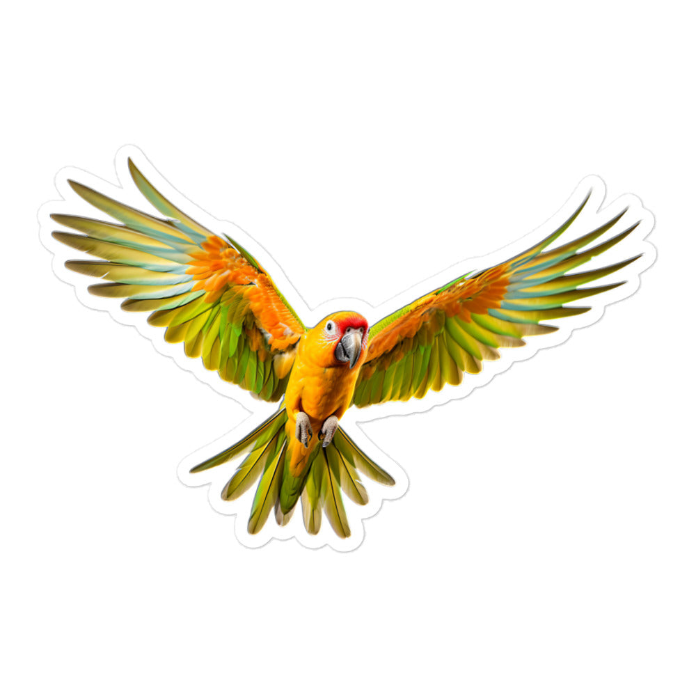 Conure Sticker - Stickerfy.ai