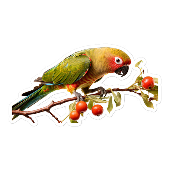 Conure Sticker - Stickerfy.ai