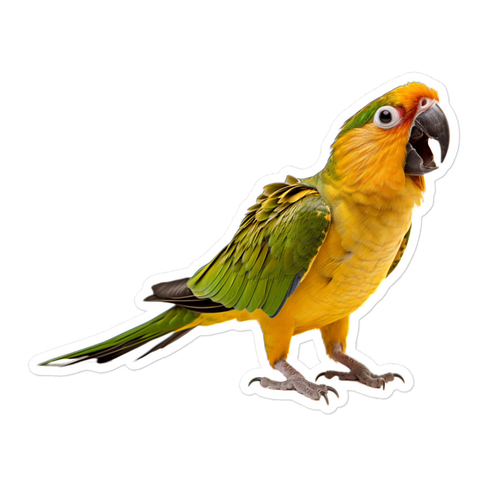 Conure Sticker - Stickerfy.ai