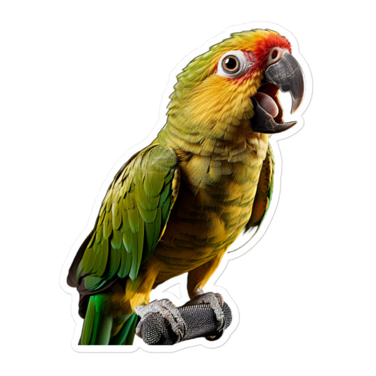 Conure Sticker - Stickerfy.ai