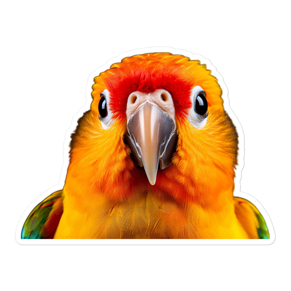 Sun Conure Sticker - Stickerfy.ai