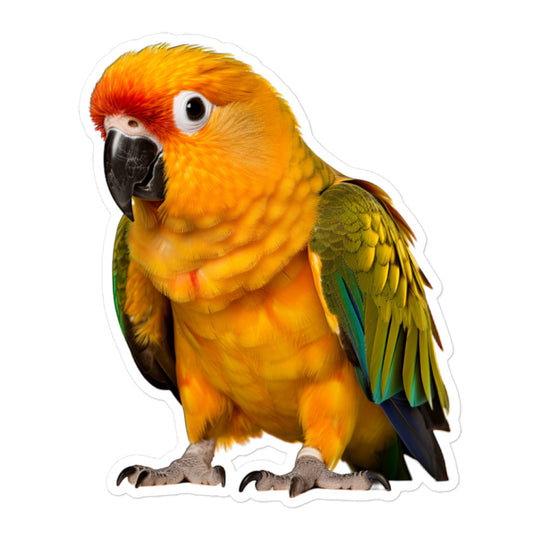 Sun Conure Sticker - Stickerfy.ai