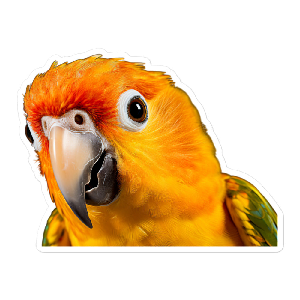 Sun Conure Sticker - Stickerfy.ai